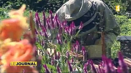 Manifestation apiculteurs - sujet 08 08 2015