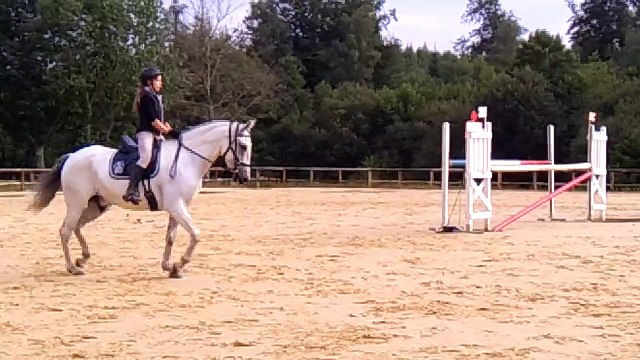 première carrière- galop à gauche