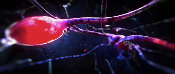 Zoolander 2 (2016) - Trailer (Full HD / 1080p)