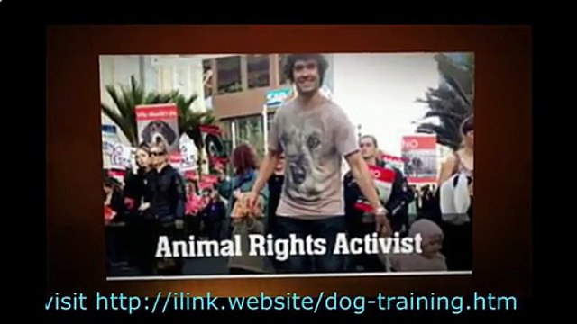 How To Stop Puppy From Jumping And Biting