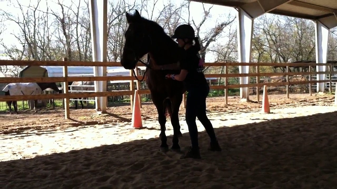 The Saddle Club spoof "Prancer gets lost!"