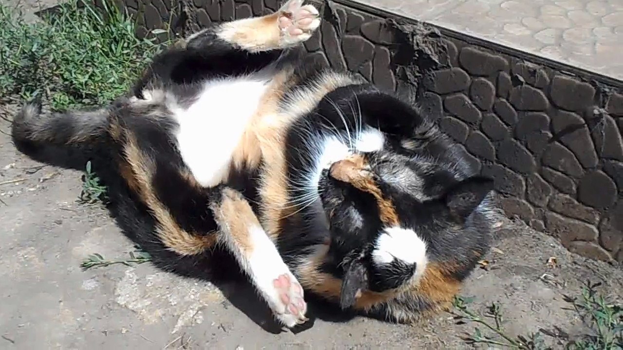 What is she doing?