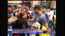 AMERICA NOTICIAS | Continua venta ilegal de animales en el centro de Lima