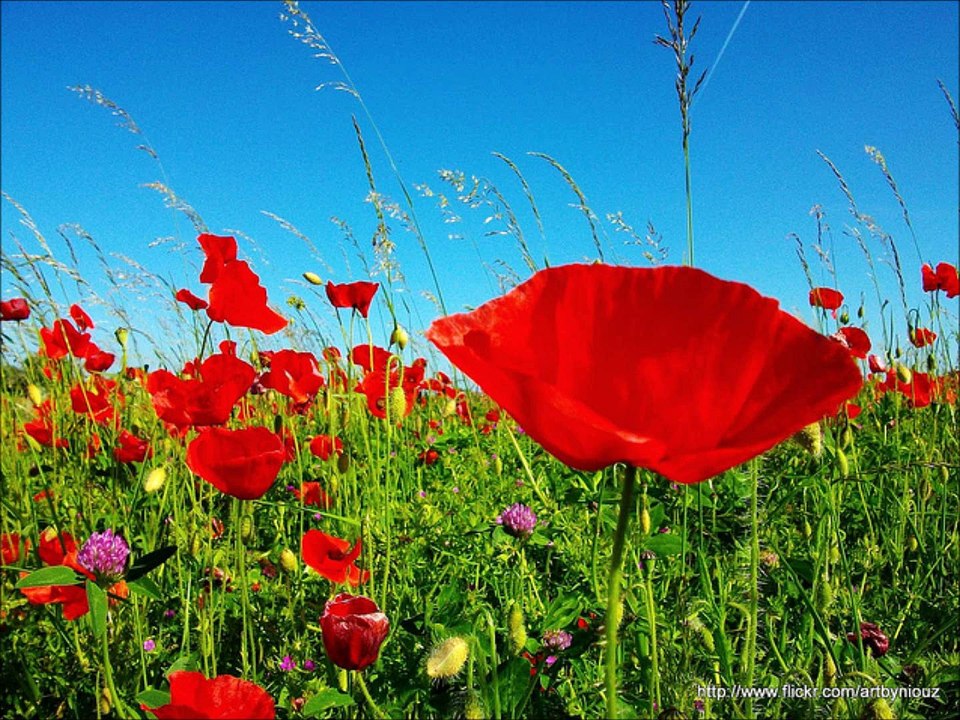 I can't remember Mary