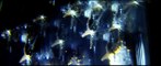Lenny Kravitz - The Chamber - Full Video 2014 (Explicit) HD 1080p