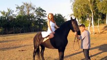 Equine photoshoot with friesian: Behind the scenes Neli and Harizma