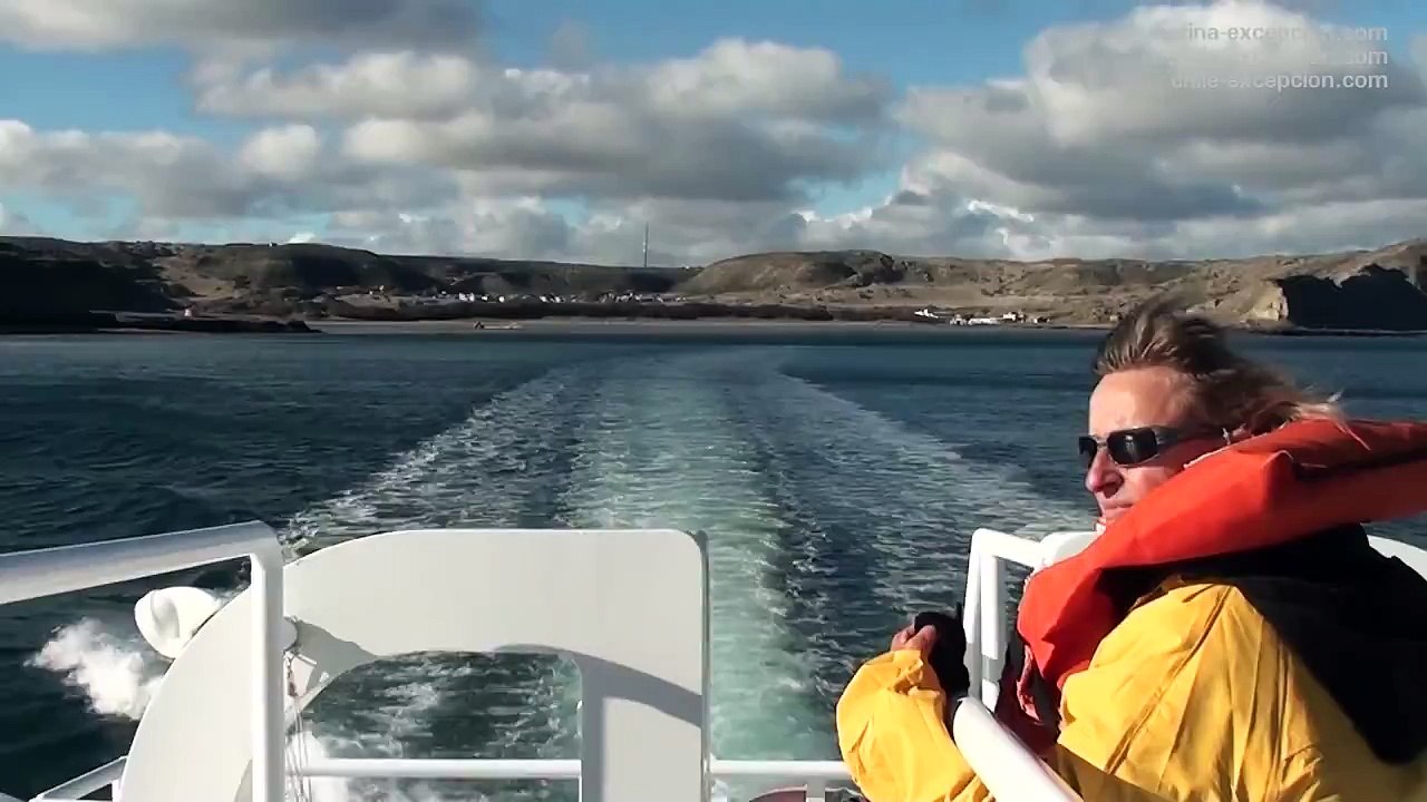 Baleines de la péninsule Valdés - Puerto Piramides & Puerto Madryn - Patagonie, Argentine