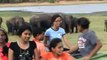Wild Elephants in herds of hundreds in Minneriya National Park, Sri-Lanka.