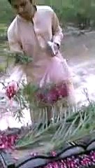 This is the way we need to Treat our Parents in Graveyard