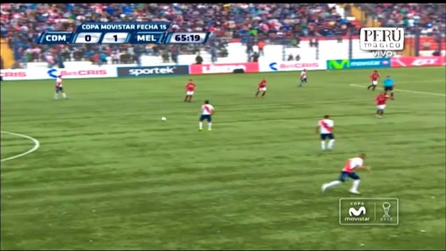 Pérou - Un coq dans les tribunes