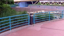 Sneaking Into The Abandoned Wonders Of Life Pavilion 2014 - Extinct EPCOT Walt Disney World