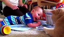Adorable Babies Laughing at Cats - Funny Compilation 2013 - Vidéo Dailymotion - Video Dailymotion