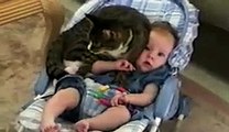 Funny Cats And Adorable Babies Compilation - Vidéo Dailymotion - Video Dailymotion