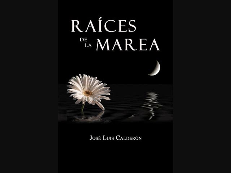 ODA A LA SOLEDAD - Liras de José Luis Calderón