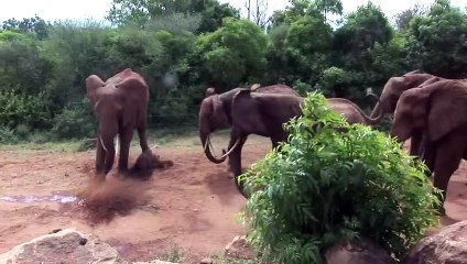 Pregnant Mom Gives Birth To Her Baby, Now Watch The Right Side Of The Screen...WHOA!