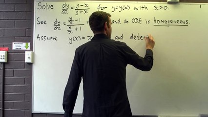 Homogeneous first order ordinary differential equation