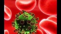 CIENTÍFICOS PODRÍAN OBTENER LA CURA DEL VIH UTILIZANDO CÉLULAS  DE PERSONAS INMUNES
