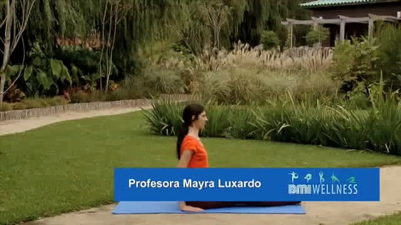 Videos de Yoga: Torsiones