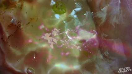 Top 10 MYSTERIOUS Events on Earth