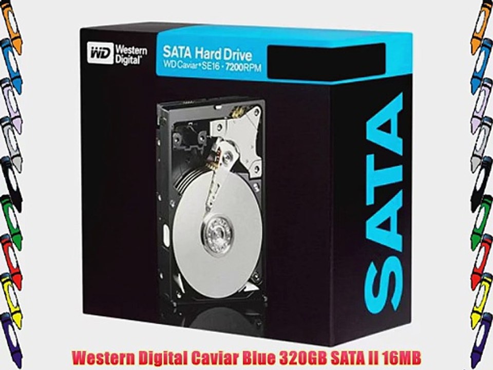 Western Digital Caviar Blue 320GB SATA II 16MB