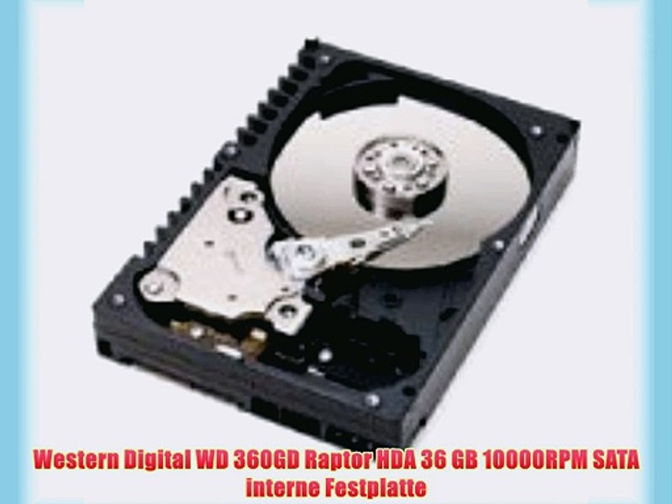 Western Digital WD 360GD Raptor HDA 36 GB 10000RPM SATA interne Festplatte