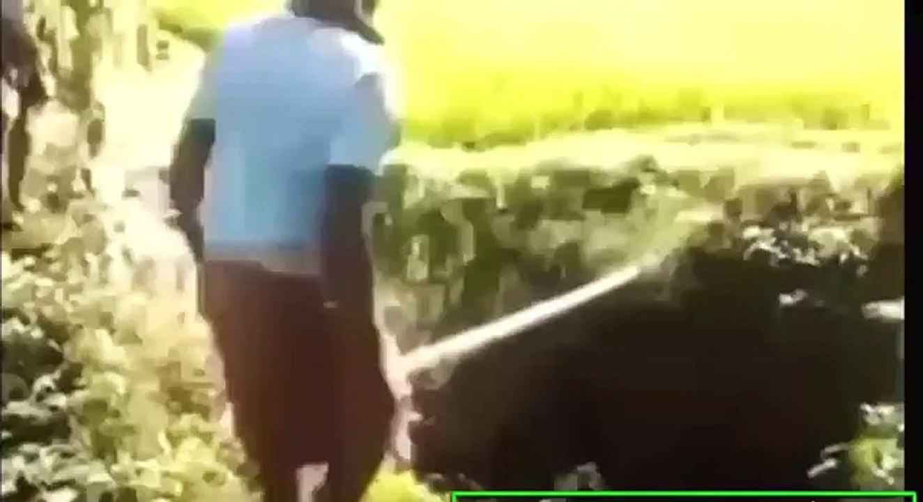 ✔ Những Thằng Nguy Hiểm, Ngu Nhất Hành Tinh P76, Thế Giới Trái Đất, Thằng Ngu