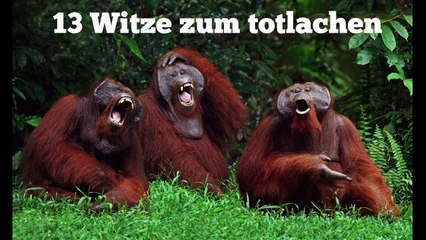 Die besten Witze zum TOTLACHEN!!
