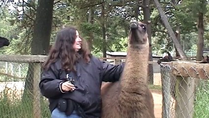 Ehhhh... these people asked for it.