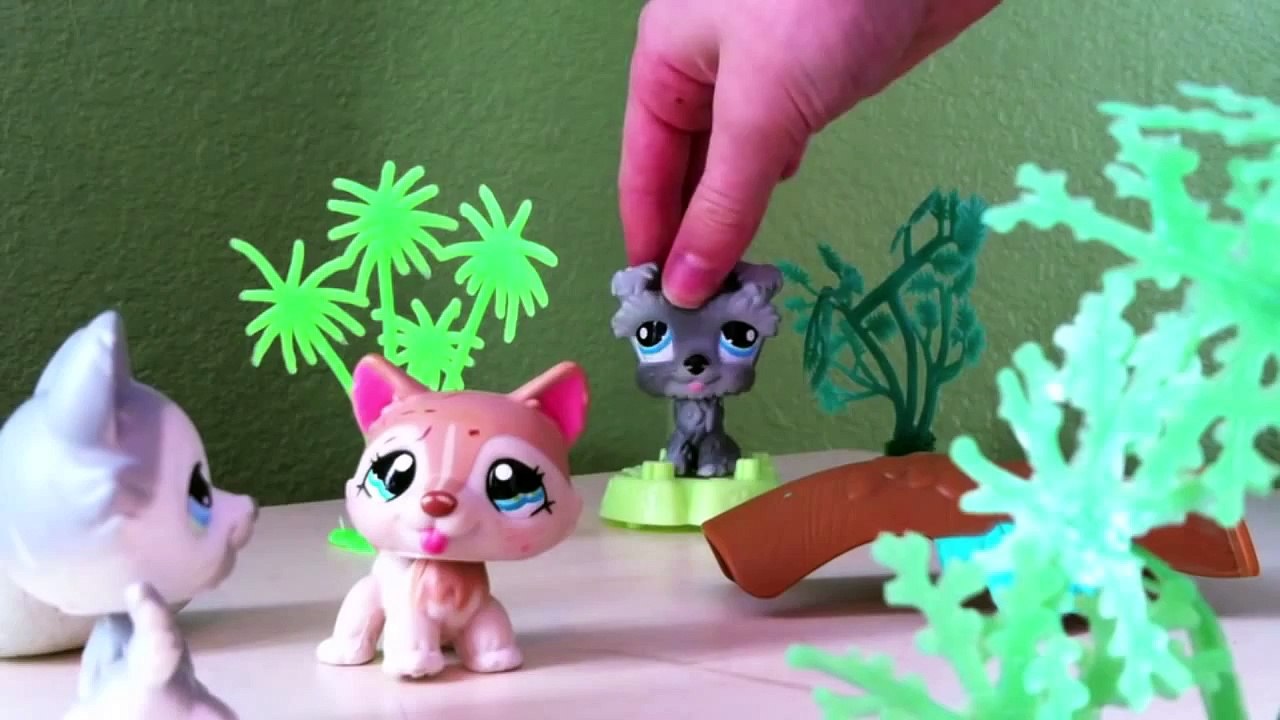 LPS Alpha and Omega part 1