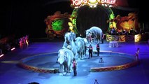 Juliette Speaks - Elephant Awareness Day