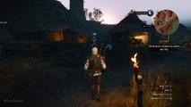 The Witcher 3 - Geralt of woman stalker - Wild Hunt