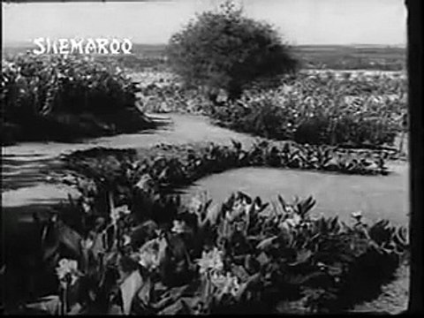 RESHMI RUMAL (1961) - Aankh Mein Shokhi | Lab Pe Tabassum | Dil Mein Shararat | Tauba Tauba