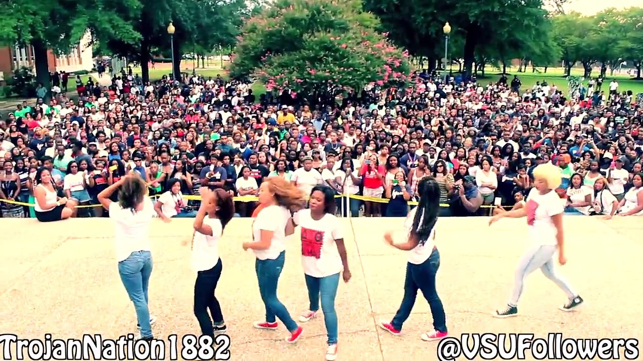 Delta Sigma Theta Sorority Incorporated - Alpha Eta Chapter