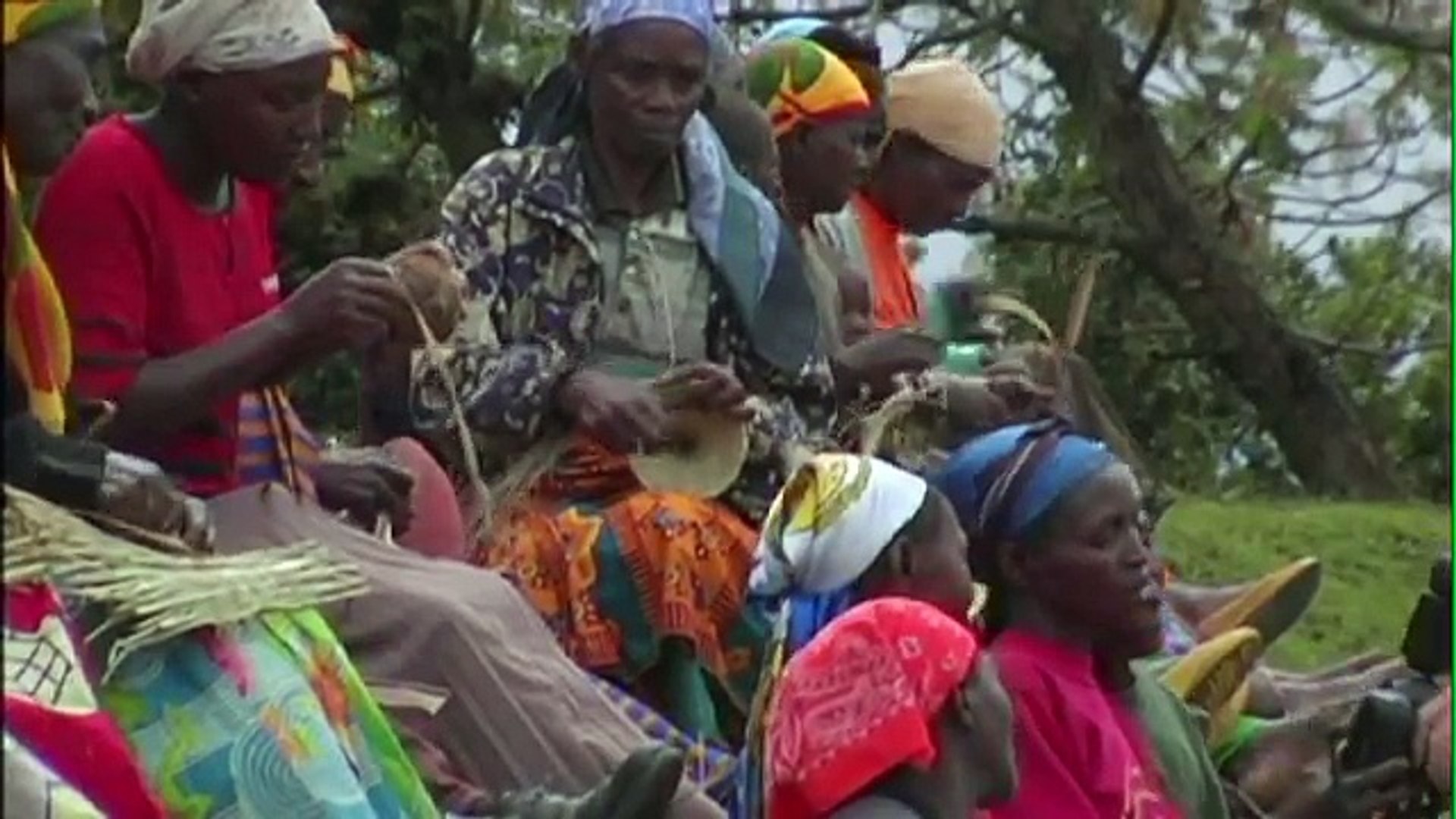 ⁣Jack Hanna's Rwanda Conservation Segment