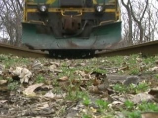 BDRV Easter Bunny Express