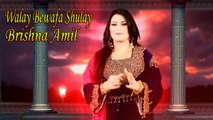 Brishna Amil - Walay Bewafa Shulay