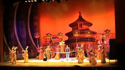 CHINESE ACROBATIC SHOW