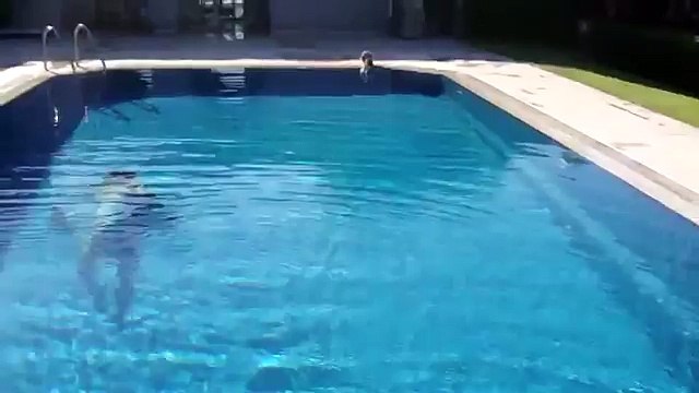 Faire peur à un chat au bord d'une piscine