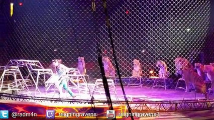 Lions and Tigers! _ Chicago Ringling Brothers Circus