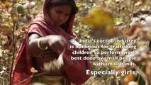 Child Trafficking in India’s Cotton Fields
