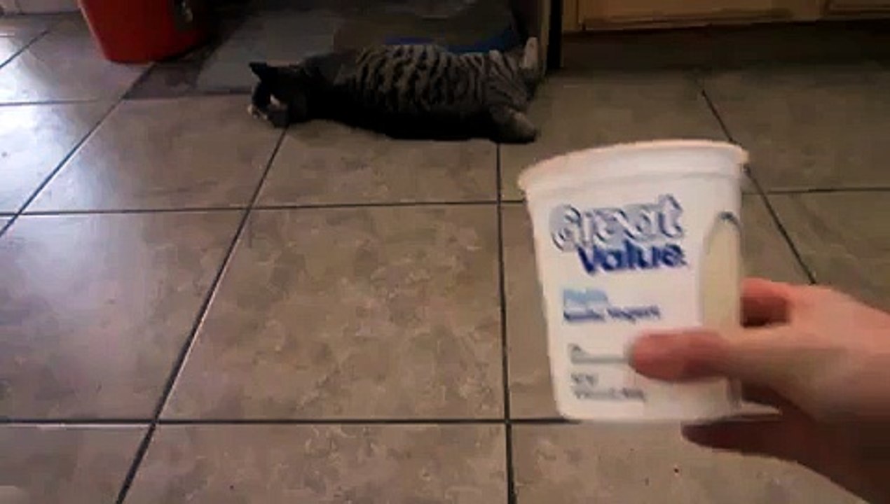 Some Cats Do Not Share