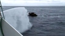 Japanese whalers run over Sea Shepherd boat