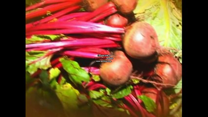 MARIA AURORA CHAN EL PASTOR PREDICANDO EN ALMOLONGA