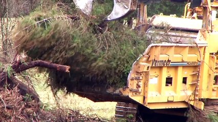 Emerald Hills mulcher