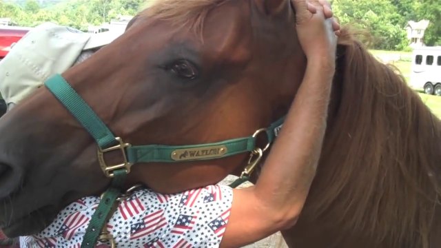Un chiropraticien craque les os d'un Cheval... Impressionnant !!