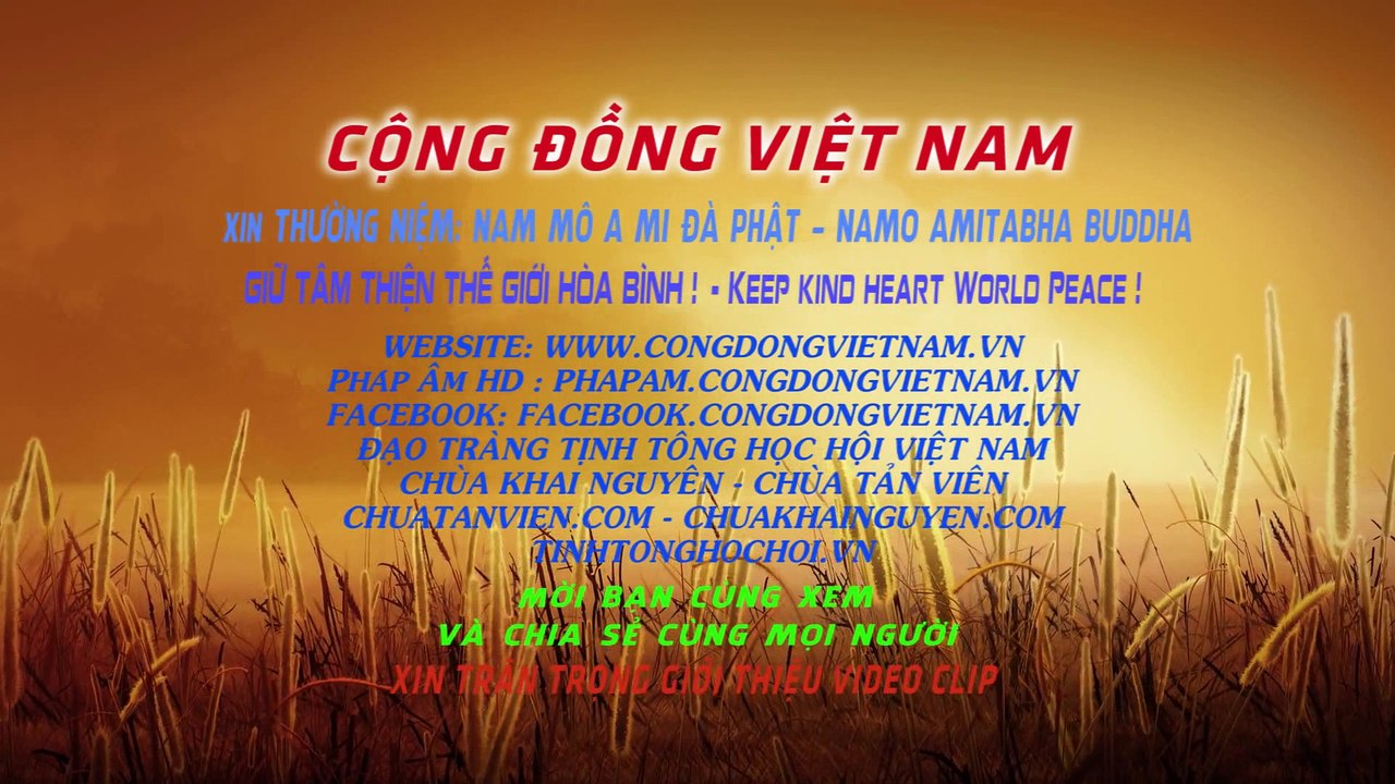 Giới thiệu Đầu Clip Chùa Tản Viên