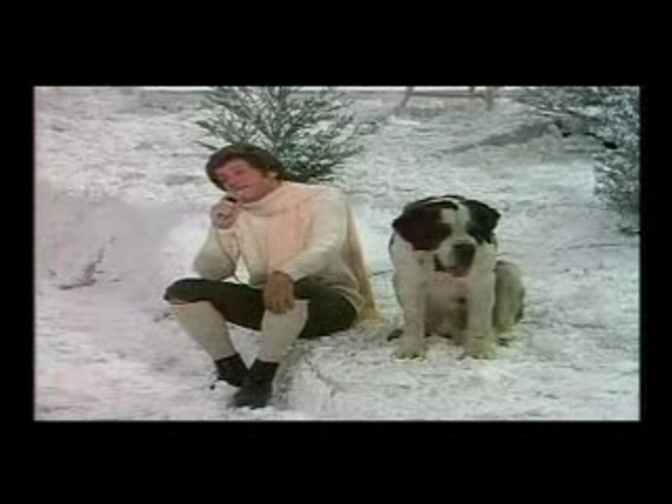 Dassin Joe - Demoiselle de deshonneur
