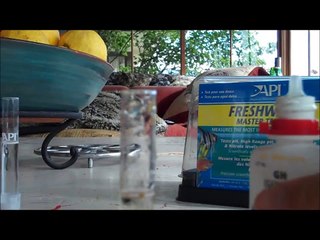 API Test Kit - 2 weeks into the fishless cycle.