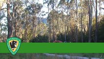 The Overland Track, Tasmania - Day 4 (TREK VIDEO)