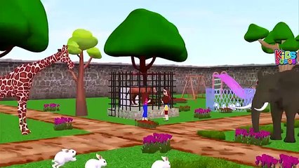 Lion Finger Family Nursery Rhymes | Lion Cartoons For Children Finger Family Songs